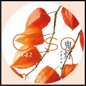 #142 鬼灯(ホオズキ)